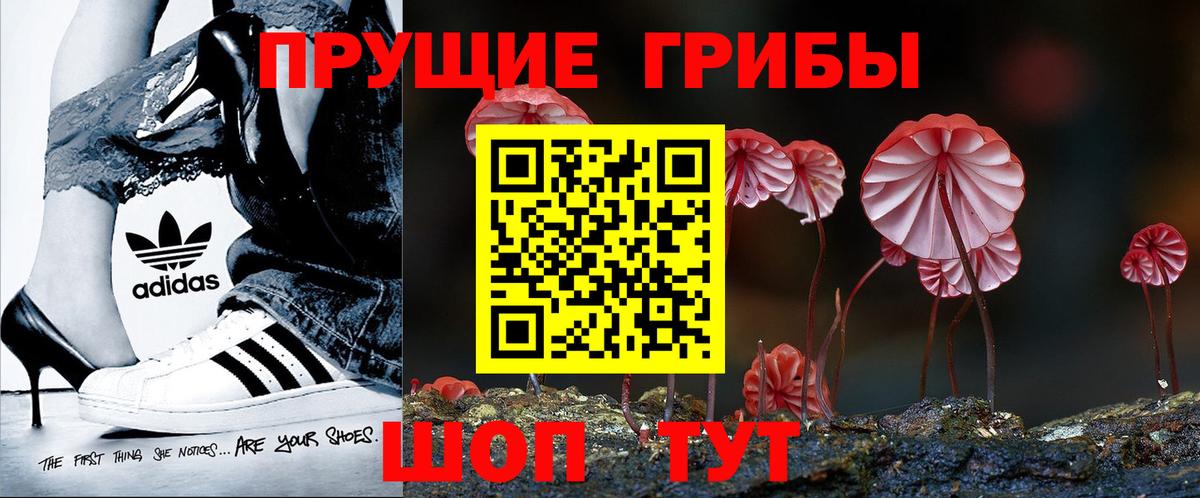 купить наркотики цена  Вход с VPN  Уссурийск  Галлюциногенные грибы мицелий 